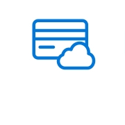 Visa Debit Icon